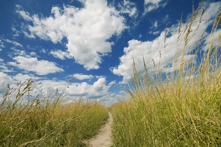 Landschaft mit Sommerhimmel